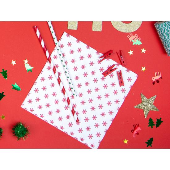 10 pajitas rojas con rayas blancas de papel - Pirates Party 10 pajitas rojas con rayas blancas de papel - Pirates Party