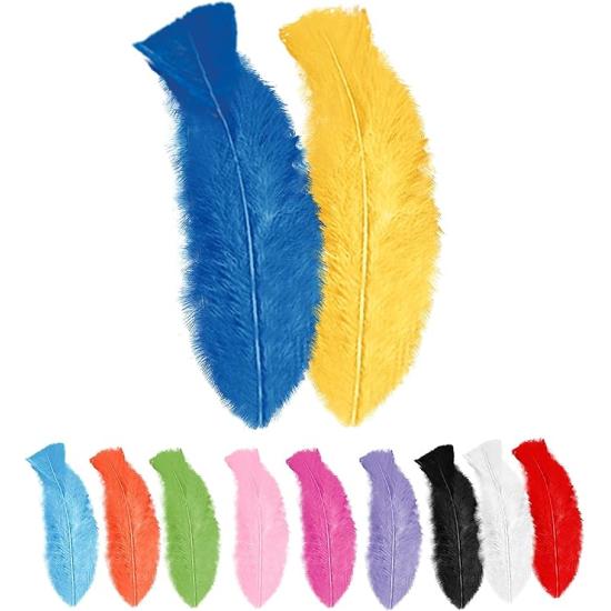 50 Plumas Adulto Unisex, Brasileños, Carnaval Brasileño, Fiestas Temáticas, 10 Cm Aprox. 50 Plumas Adulto Unisex, Brasileños, Carnaval Brasileño, Fiestas Temáticas, 10 Cm Aprox.