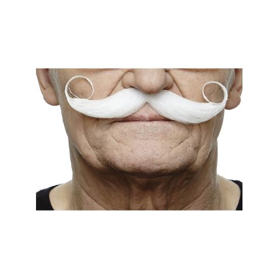 Bigote francés canoso elegante para hombre Bigote francés canoso elegante para hombre