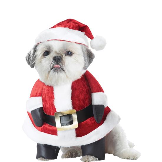 Disfraz de Papá Noel para perro Disfraz de Papá Noel para perro