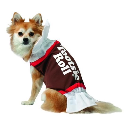 Disfraz de dulce de chocolate para perro Disfraz de dulce de chocolate para perro