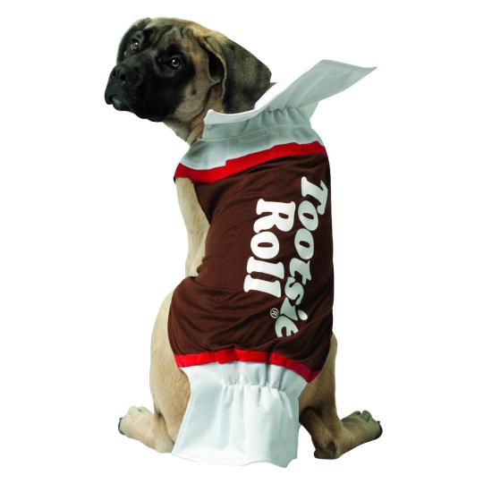 Disfraz de dulce de chocolate para perro Disfraz de dulce de chocolate para perro