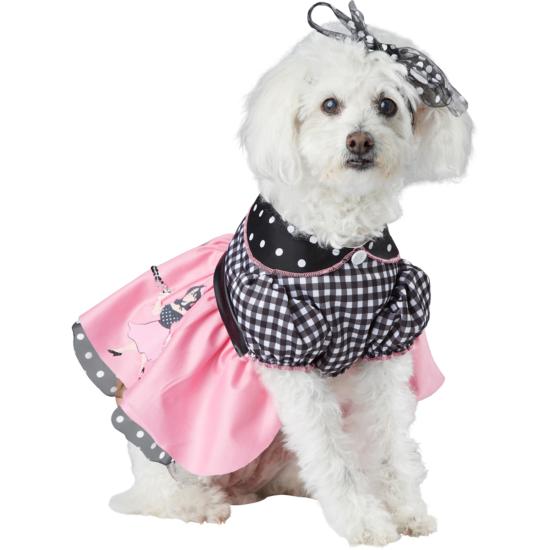 Disfraz de los años 50 para perro Disfraz de los años 50 para perro