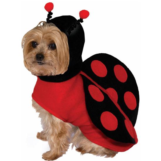 Disfraz de mariquita para perro Disfraz de mariquita para perro