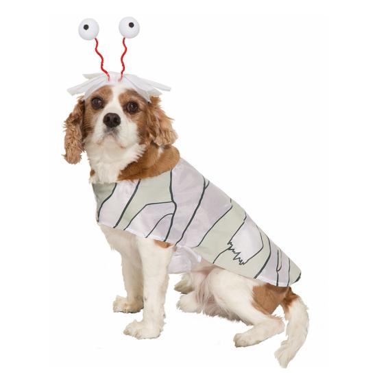 Disfraz de momia para perro Disfraz de momia para perro