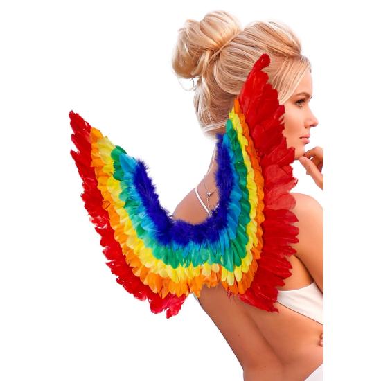 Alas de Pluma Arco Iris 60 x 40 cms Alas de Pluma Arco Iris 60 x 40 cms