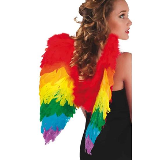 Alas De Plumas Arcoiris de 50x50Cm Alas De Plumas Arcoiris de 50x50Cm