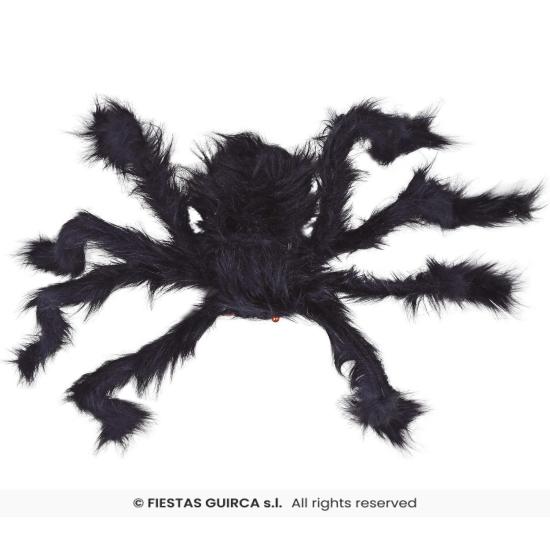 Araña negra, 70 cms. Araña negra, 70 cms.