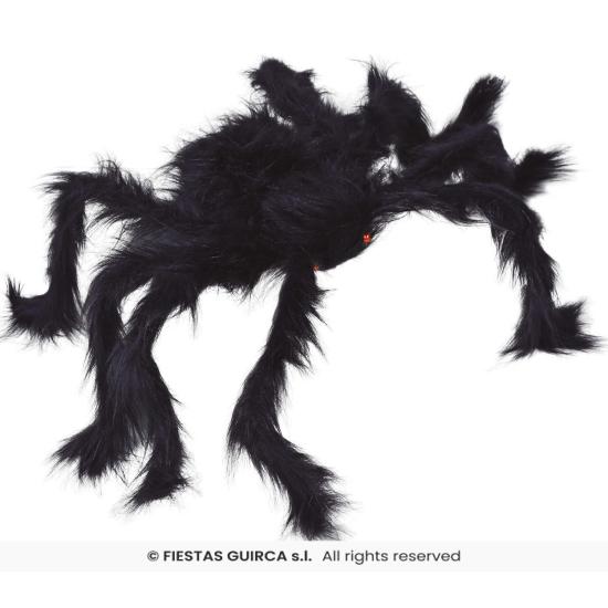 Araña negra, 70 cms. Araña negra, 70 cms.