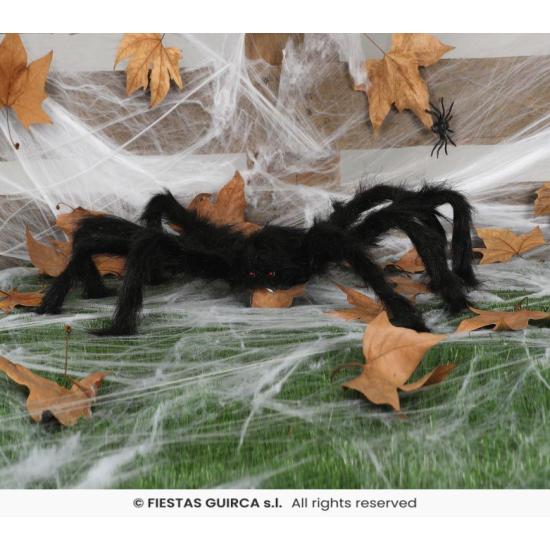 Araña negra, 70 cms. Araña negra, 70 cms.