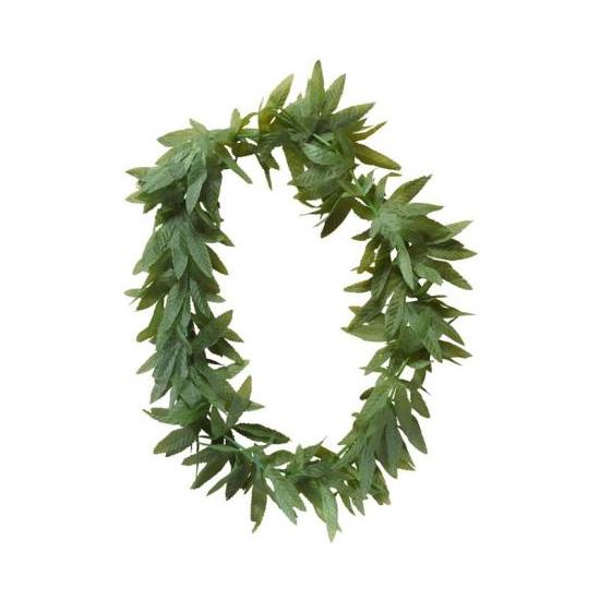 Collar Tia Maria. Collar Tia Maria.