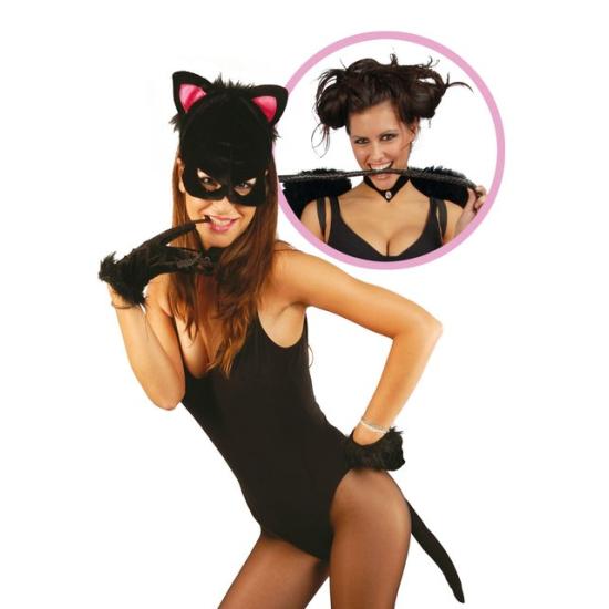 Conjunto de gatita sexy Conjunto de gatita sexy