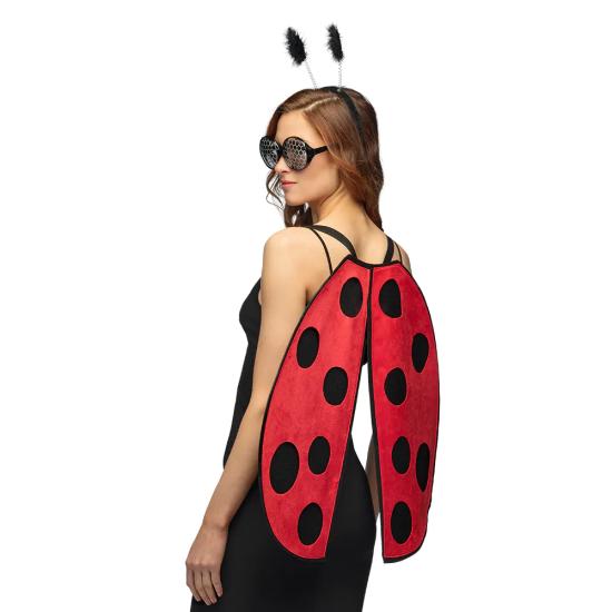 Conjunto Mariquita Conjunto Mariquita