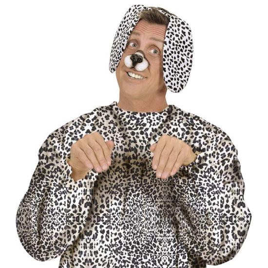 Diadema Dállmata Diadema Dállmata