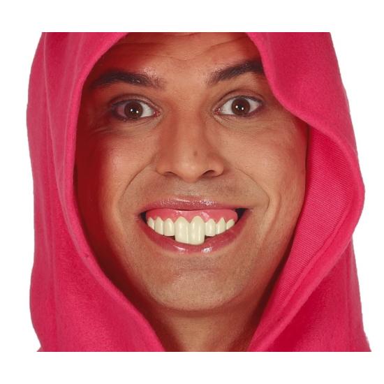 Dientes Conejo con Thermoplastica Dientes Conejo con Thermoplastica