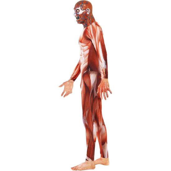 Disfraz Anatomía Humana Terror adulto Disfraz Anatomía Humana Terror adulto