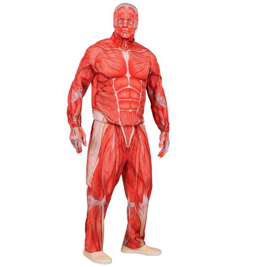 Disfraz de Anatomía FAST COSTUME para Adultos Disfraz de Anatomía FAST COSTUME para Adultos
