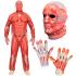 Disfraz de Anatomía FAST COSTUME para Adultos Disfraz de Anatomía FAST COSTUME para Adultos