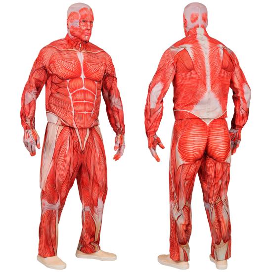 Disfraz de Anatomía FAST COSTUME para Adultos Disfraz de Anatomía FAST COSTUME para Adultos