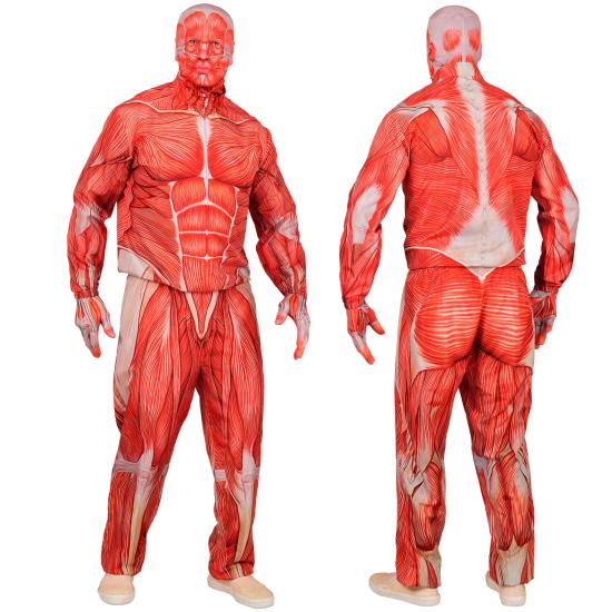 Disfraz de Anatomía FAST COSTUME para Adultos Disfraz de Anatomía FAST COSTUME para Adultos