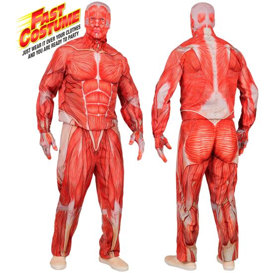 Disfraz de Anatomía FAST COSTUME para Adultos Disfraz de Anatomía FAST COSTUME para Adultos