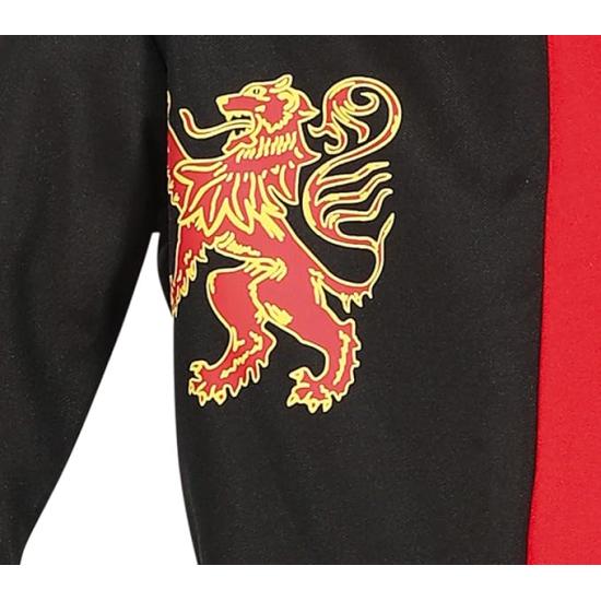 Disfraz de Caballero Medieval Niño Disfraz de Caballero Medieval Niño