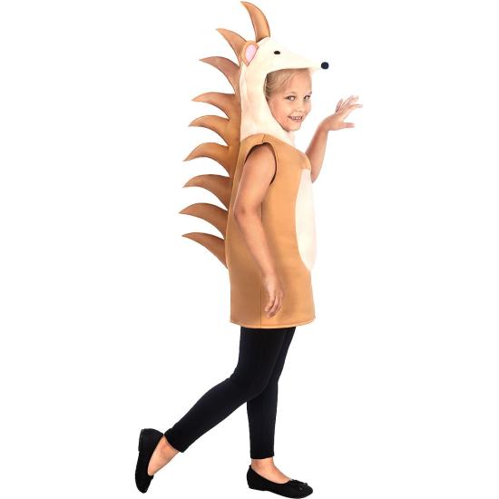 Disfraz de erizo para niños Disfraz de erizo para niños