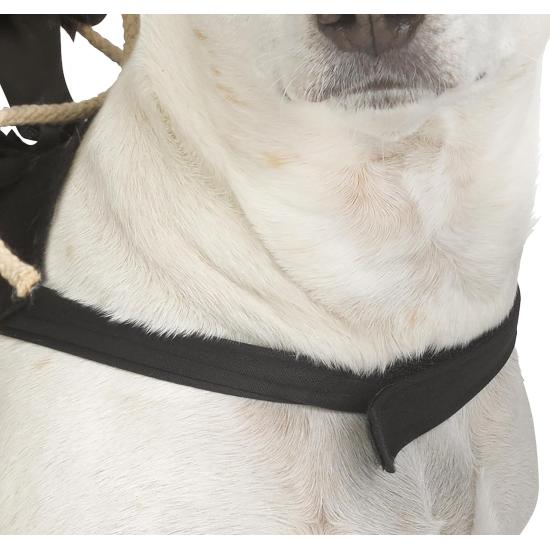 Disfraz de jinete Ghost Face® para mascota Disfraz de jinete Ghost Face® para mascota