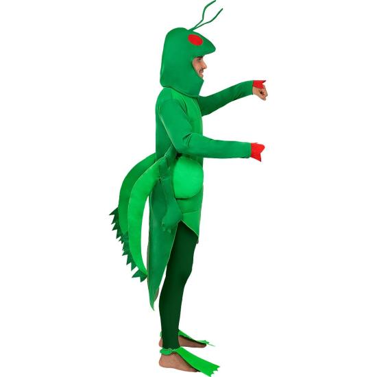 Disfraz de saltamontes para adulto Disfraz de saltamontes para adulto