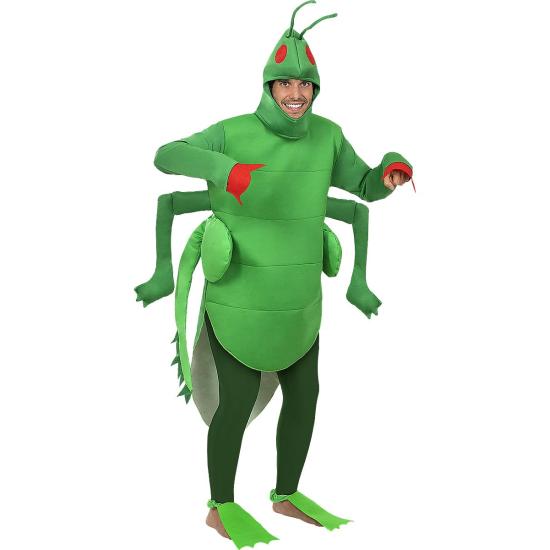 Disfraz de saltamontes para adulto Disfraz de saltamontes para adulto