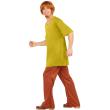 Disfraz de Shaggy - Scooby Doo Disfraz de Shaggy - Scooby Doo