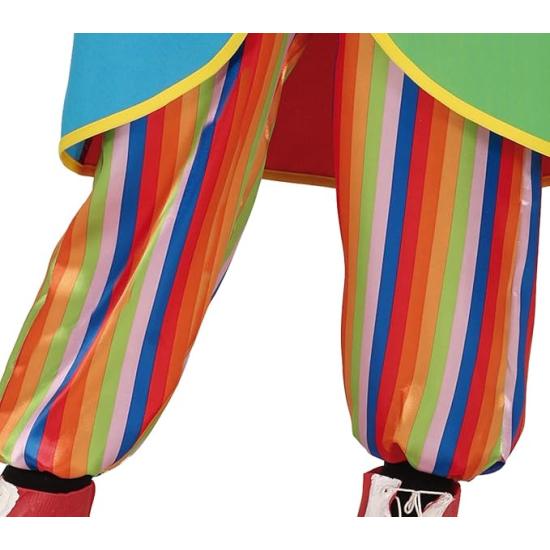 Disfraz Payaso de Circo para niño Disfraz Payaso de Circo para niño