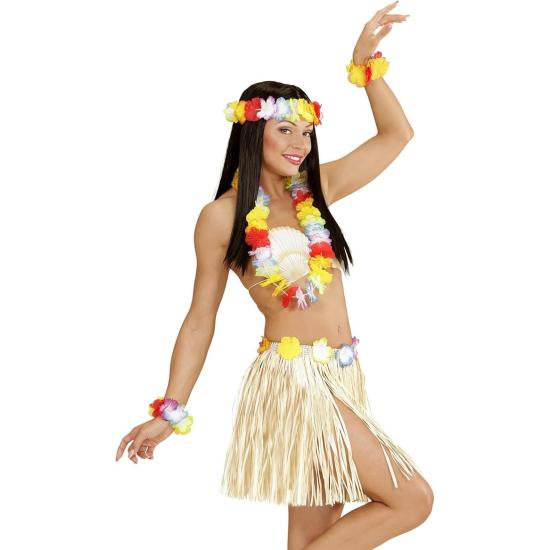 Falda larga hawaiana con top y accesorios. Falda larga hawaiana con top y accesorios.