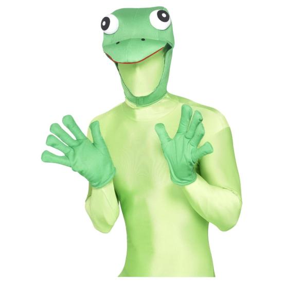 Kit de Rana Verde Kit de Rana Verde