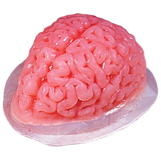 Molde de gelatina cerebral Molde de gelatina cerebral