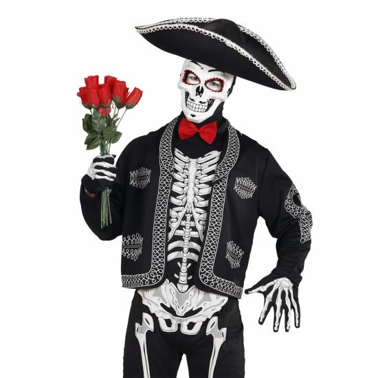 Máscara de Calavera Dia de los Muertos Máscara de Calavera Dia de los Muertos