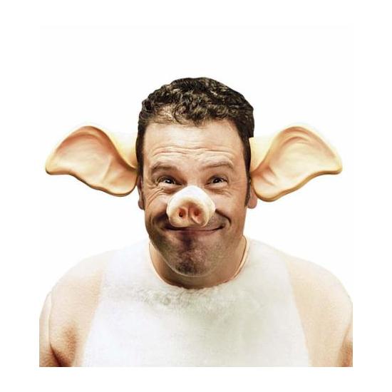 Nariz de cerdo Nariz de cerdo