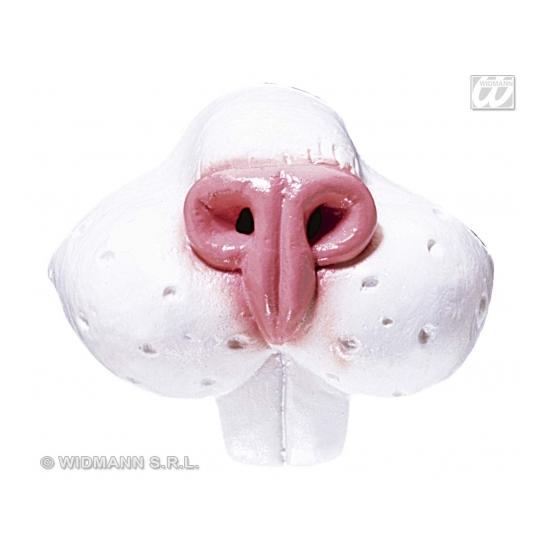 Nariz de conejo Nariz de conejo