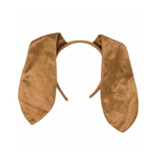 Orejas de Perro largas. Orejas de Perro largas.