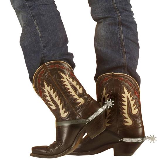 Par de Espuelas Plateadas Par de Espuelas Plateadas