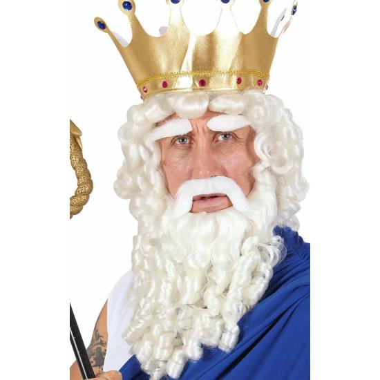 Peluca disfraz Dios del Olympo o Poseidón. Peluca disfraz Dios del Olympo o Poseidón.