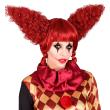 Peluca Killer Clown, roja, vintage, accesorio payaso de terror, disfraz Halloween Peluca Killer Clown, roja, vintage, accesorio payaso de terror, disfraz Halloween