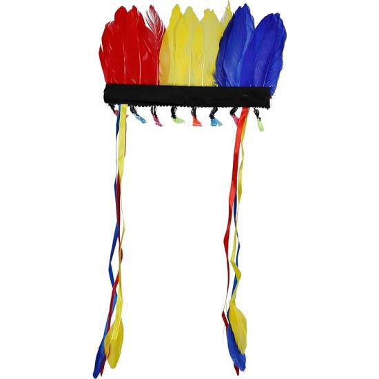 Penacho de Plumas Multicolor Penacho de Plumas Multicolor